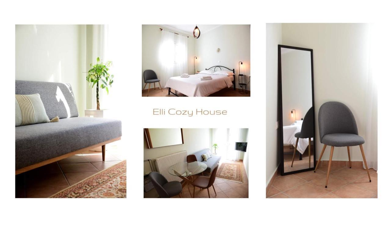 Elli Cozy House Apartment Potamós Exterior foto
